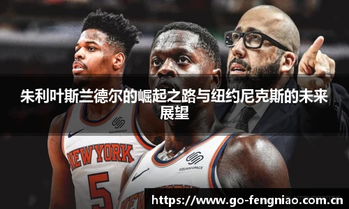 朱利叶斯兰德尔的崛起之路与纽约尼克斯的未来展望